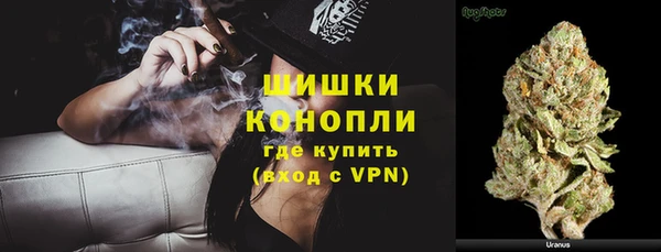 бошки Каменка