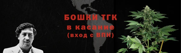 spice Каменногорск