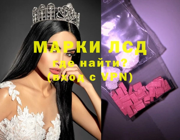 гидра Карпинск