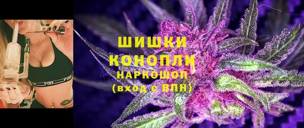 spice Каменногорск