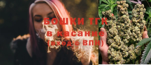гидра Карпинск