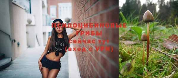 бутират Каменск-Шахтинский