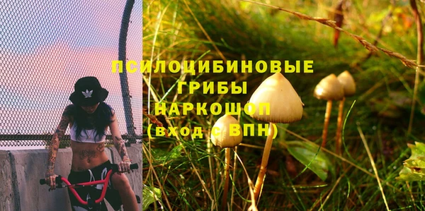 гидропоника Касимов
