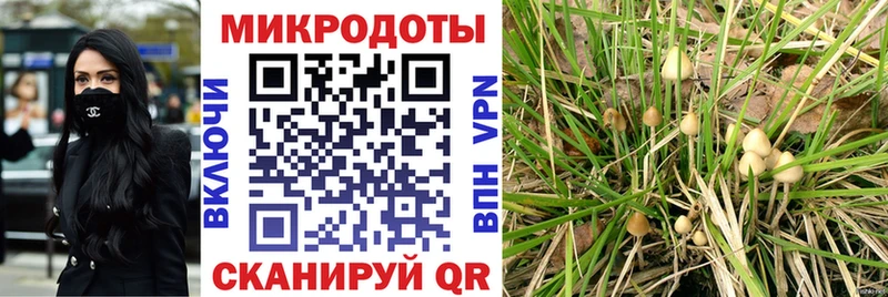 купить   ссылка на мегу сайт  Псилоцибиновые грибы Magic Shrooms  Ярцево 